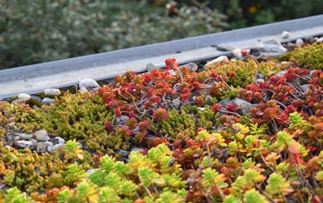the cost of Chaffcombe green roof installation